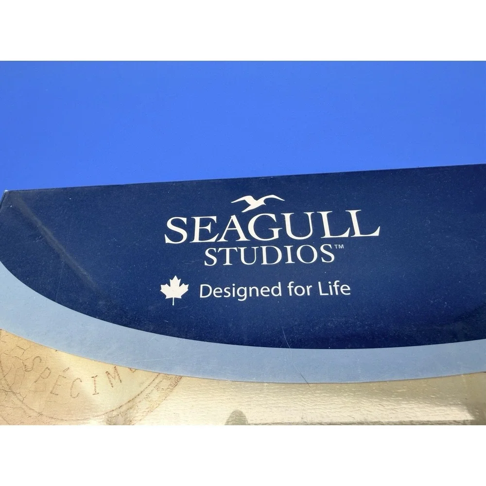 Seagull Studios new old